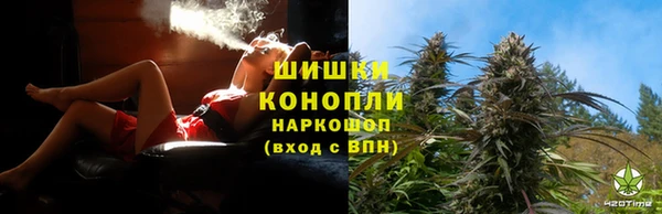 гидра Артём