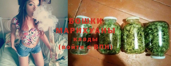 дживик Аркадак