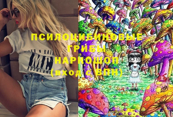 дживик Аркадак